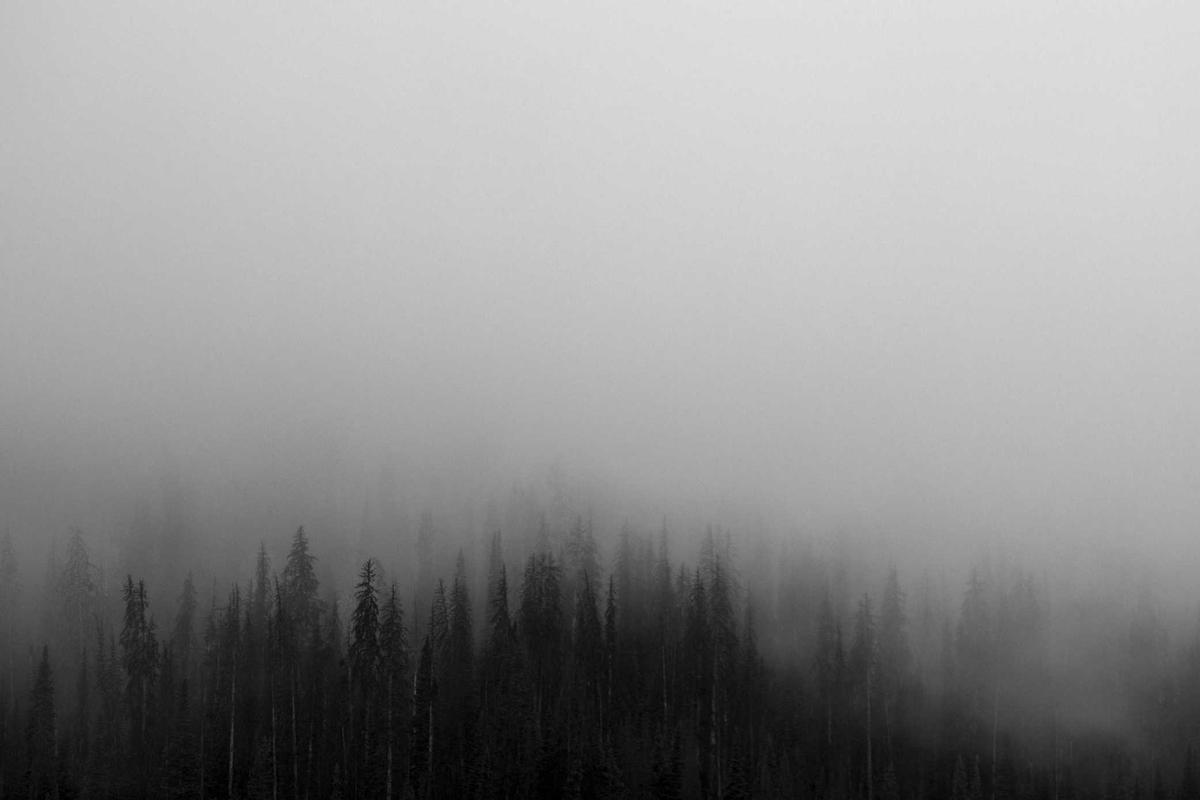 BRI Dorong Transaksi Non-Tunai Lewat Program Loyalty Poin Cashier 2025, Bisa Dapat Mobil & Gadget Canggih