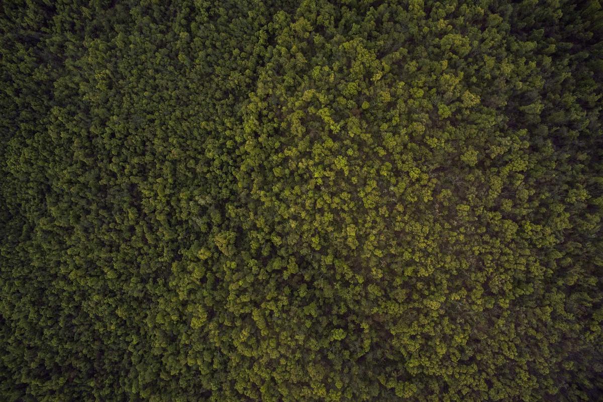 BRI Dorong Transaksi Non-Tunai Lewat Program Loyalty Poin Cashier 2025, Bisa Dapat Mobil & Gadget Canggih