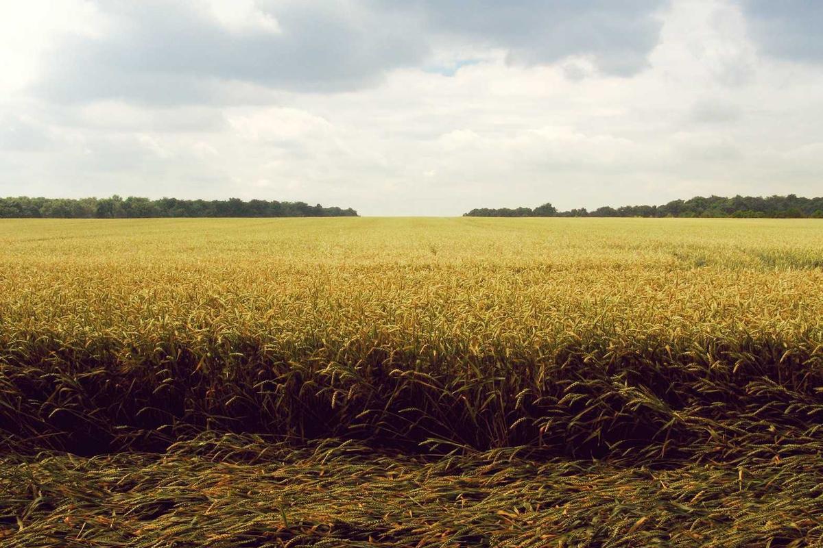 Apple Siap Guncang Pasar, iPhone 17 Super Tipis & Deretan Gadget Canggih Meluncur Minggu Depan