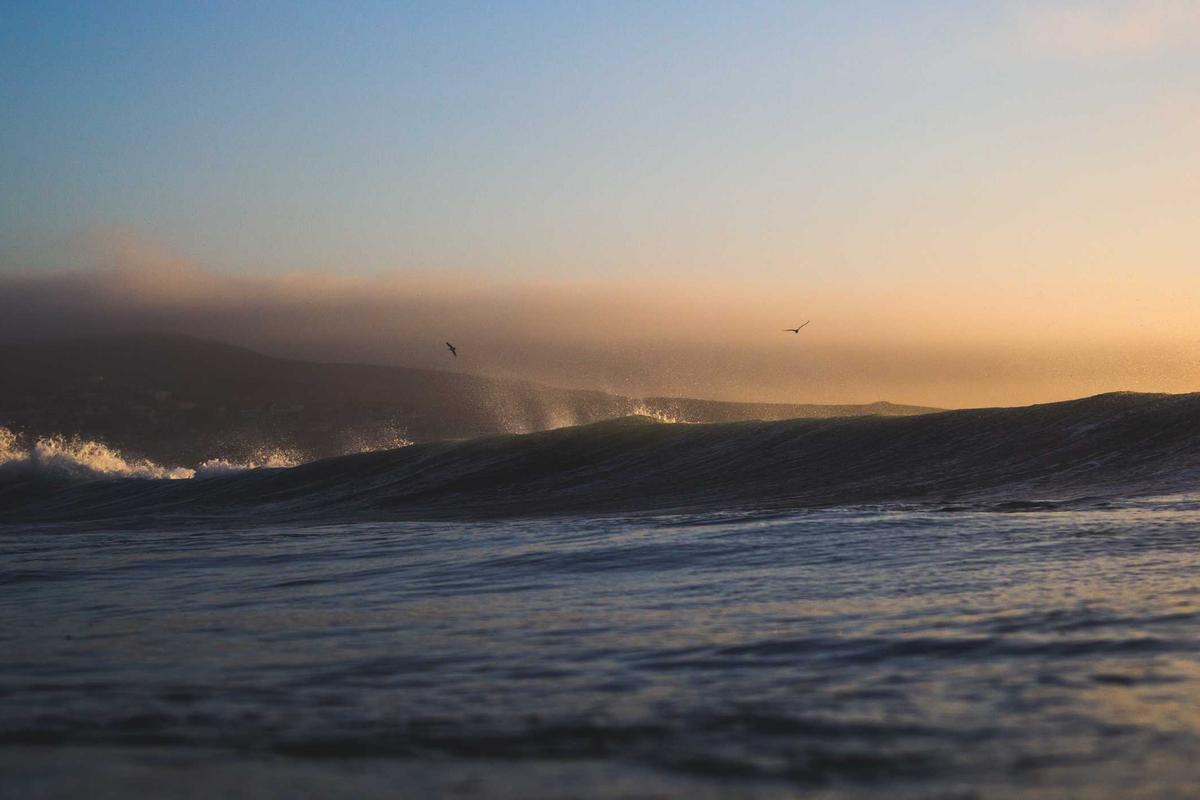 Deretan Gadget Canggih dan Unik di CES 2026