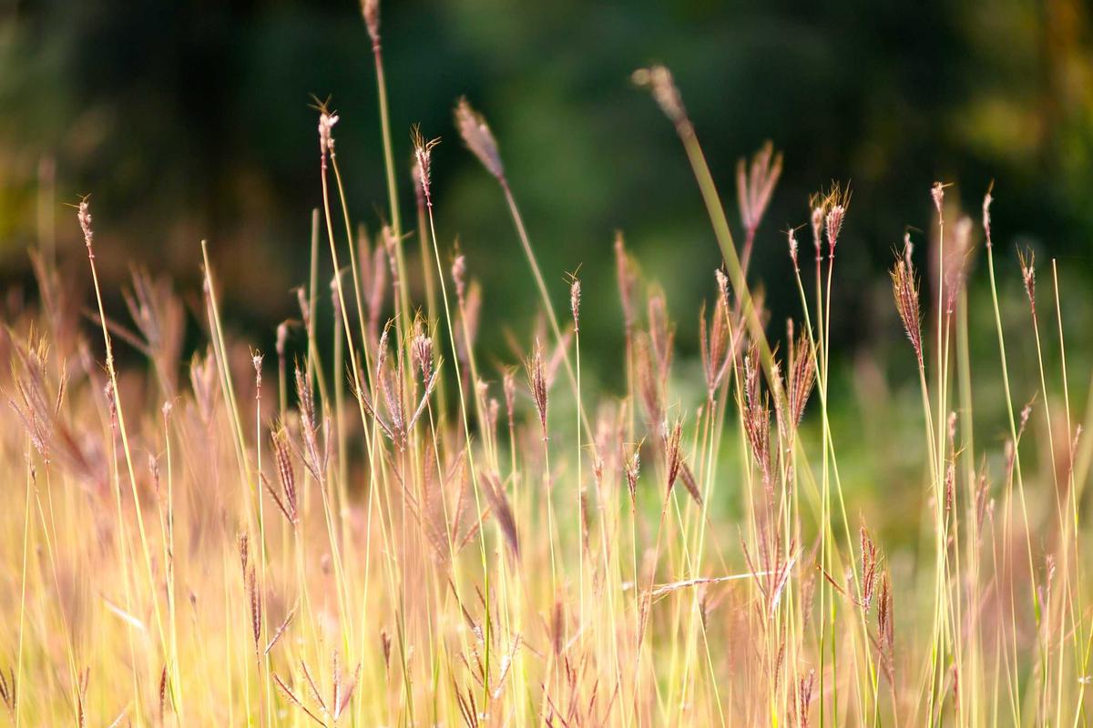 Gen Z Dominasi Penggunaan AI, Gadget Canggih Tampil