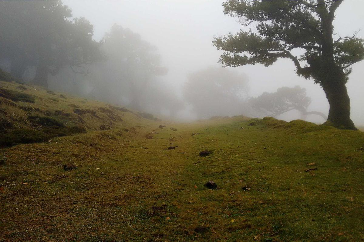 Tren Gadget Canggih Terus Berkembang, Gaya Hidup Digital Makin Melekat – radartv.disway.id