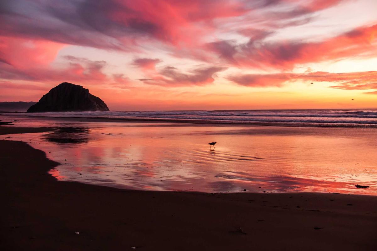 BRI Dorong Transaksi Non-Tunai Lewat Program Loyalty Poin Cashier 2025, Bisa Dapat Mobil & Gadget Canggih