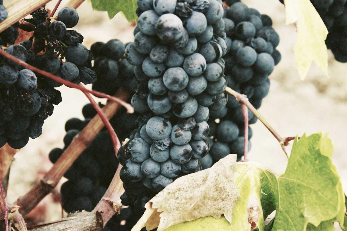 BRI Dorong Transaksi Non-Tunai Lewat Program Loyalty Poin Cashier 2025, Bisa Dapat Mobil & Gadget Canggih