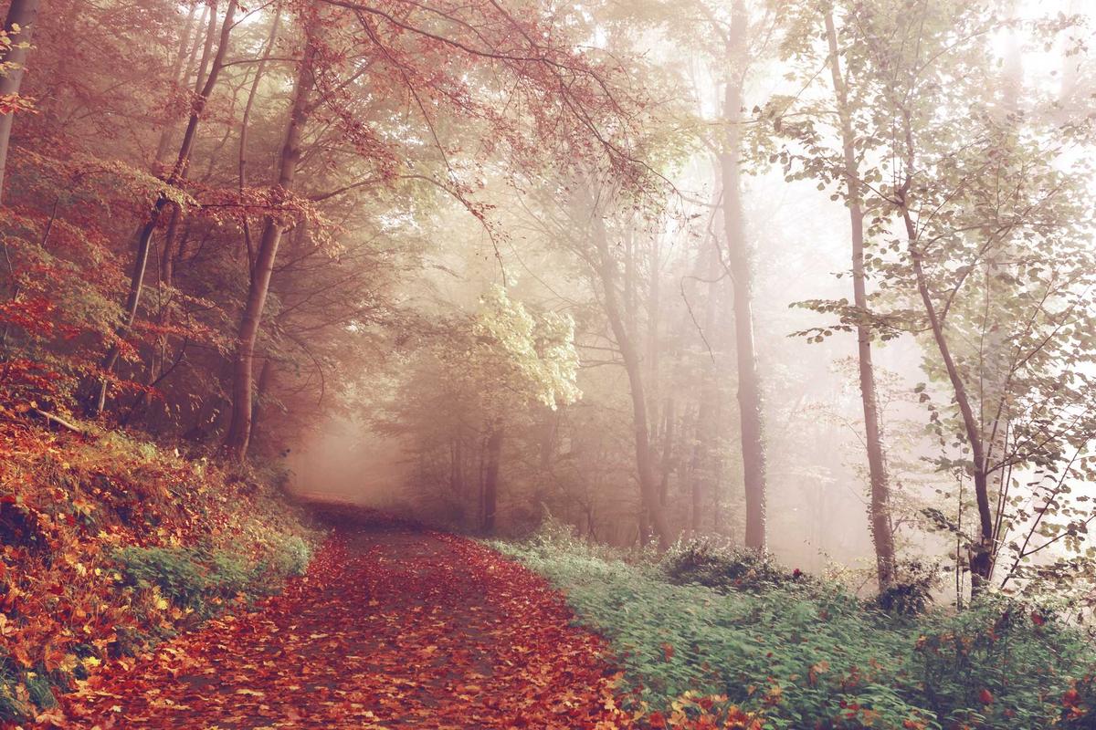 BRI Dorong Transaksi Non-Tunai Lewat Program Loyalty Poin Cashier 2025, Bisa Dapat Mobil & Gadget Canggih