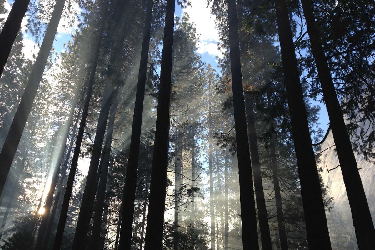 BRI Dorong Transaksi Non-Tunai Lewat Program Loyalty Poin Cashier 2025, Bisa Dapat Mobil & Gadget Canggih